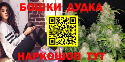 мдпв Партизанск